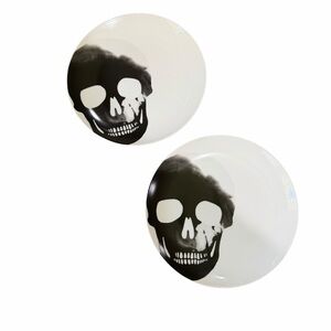 Crate & Barrel Skull X-ray Plates